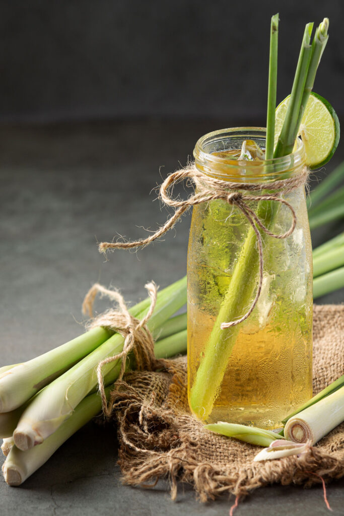lemongrass can be eaten to avoid mosquitoes