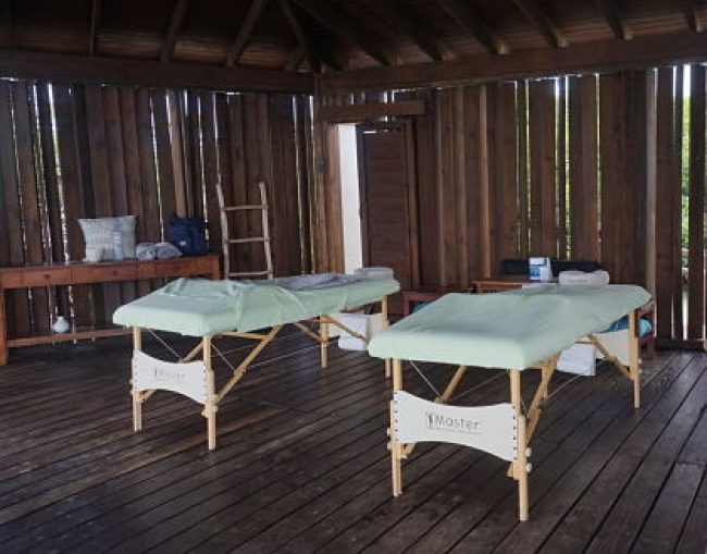 How to Visit Flamingos in Aruba (Plus One SECRET Way You Didn’t Know About)