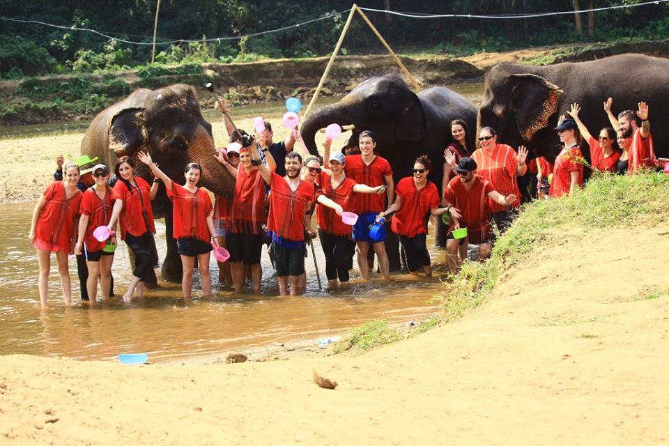 Visiting Elephants Ethically