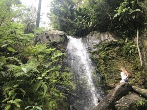 el yunque rainforest