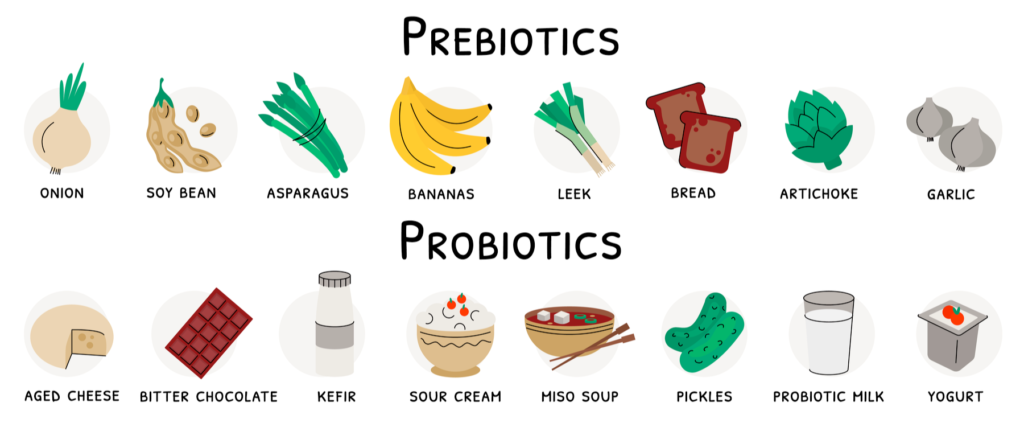 prebiotic and probiotic foods