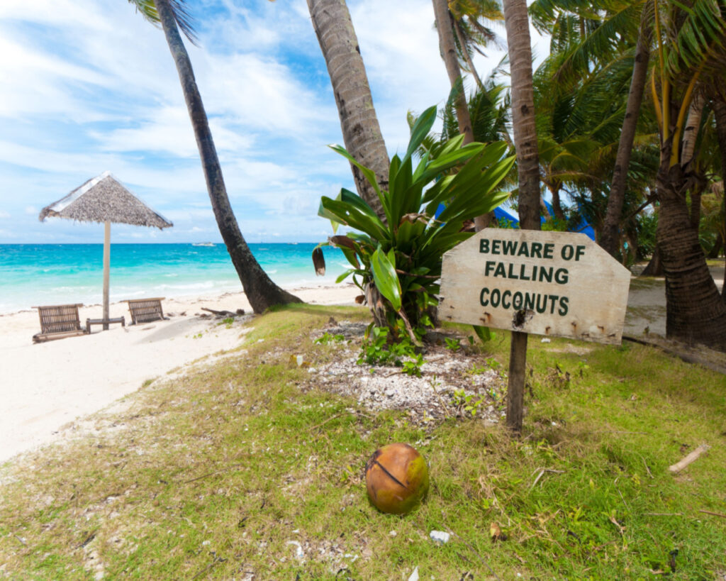 beware of falling coconuts